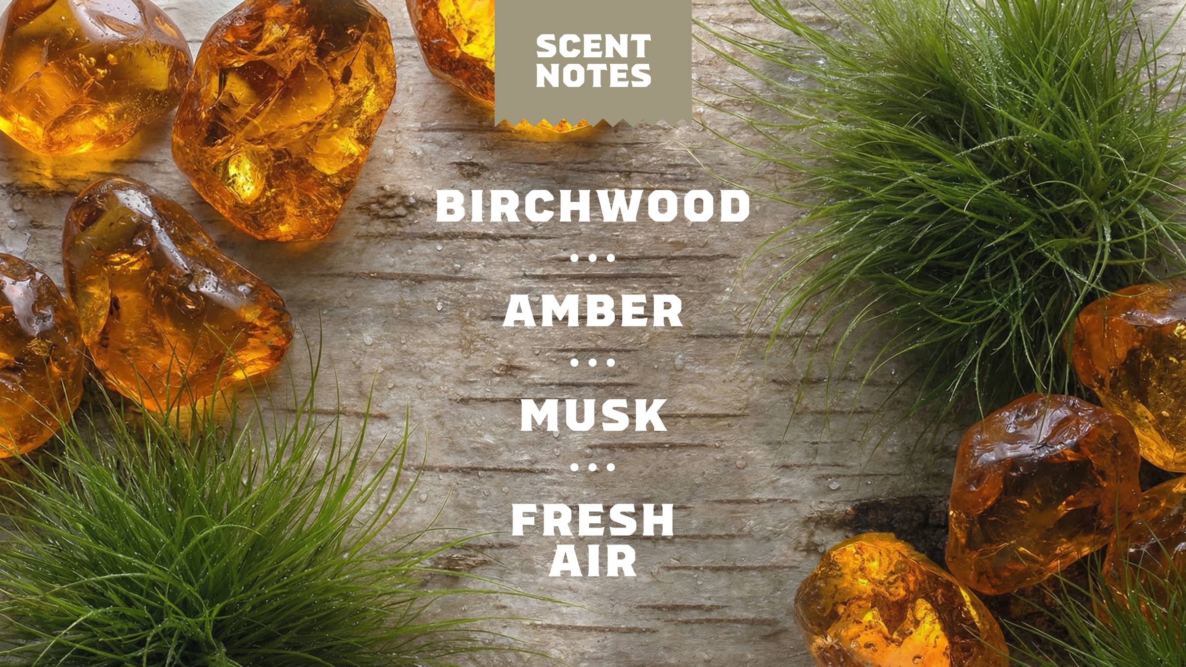 Birchwood Breeze - Image 4