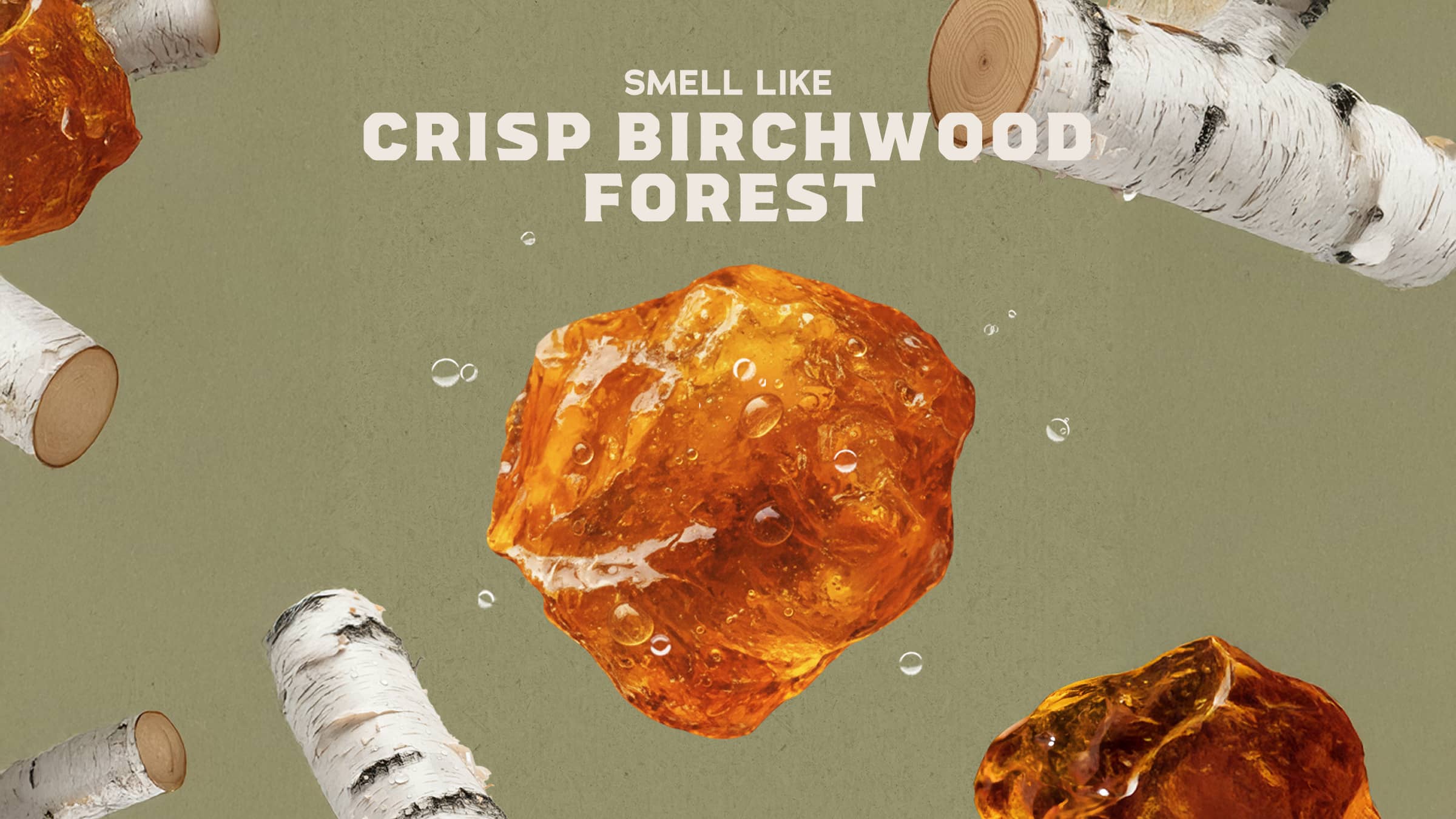 Birchwood Breeze - Image 3